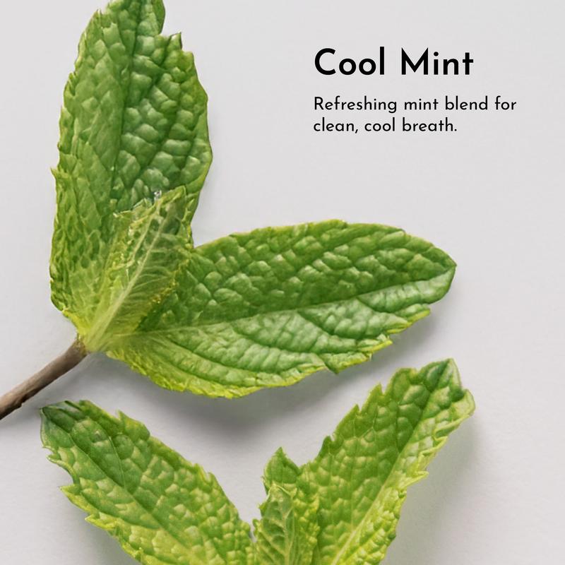 Nurture | Whitening Remineralizing Tooth Powder (Mint)